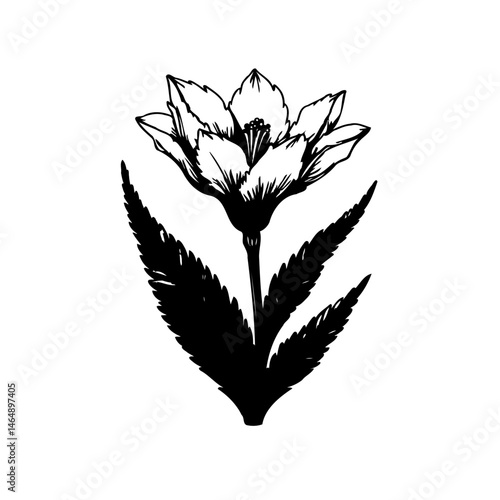 Elegant monochrome botanical illustration showcasing stylized floral arrangement