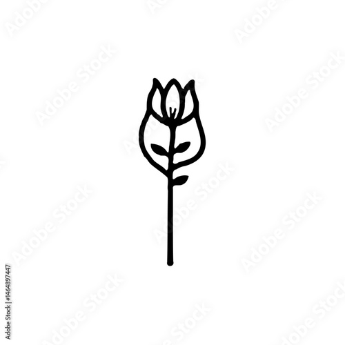 Elegant simplicity: Delicate floral contour drawing with refined botanical elements