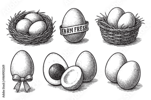 egg farm set woodcut engraving vector illustration