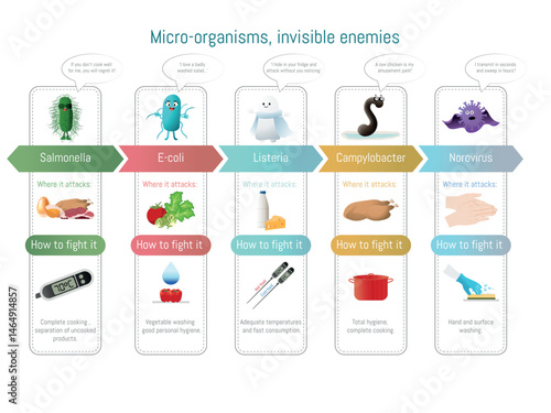 Infographic illustrating common foodborne pathogens, their sources, and preventive measures for maintaining food safety