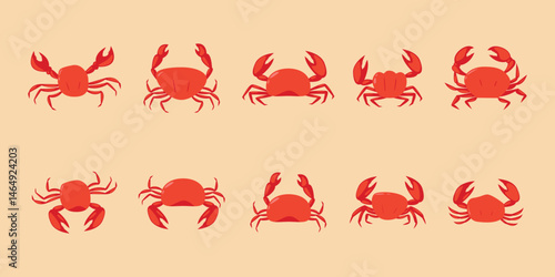 Ocean Crab Illustration