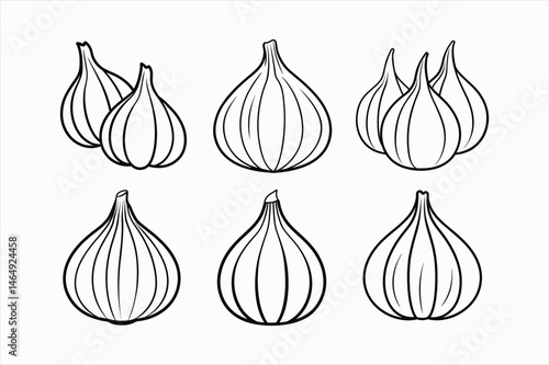 set of garlic line art vector illustration