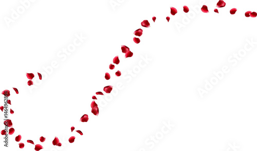 Fotografie Red rose petals fly in a circle