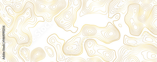 Abstract wavy topographic line background. Seamless pattern and banner design. Modern and dynamic feel to topographic mapping vector illustration.