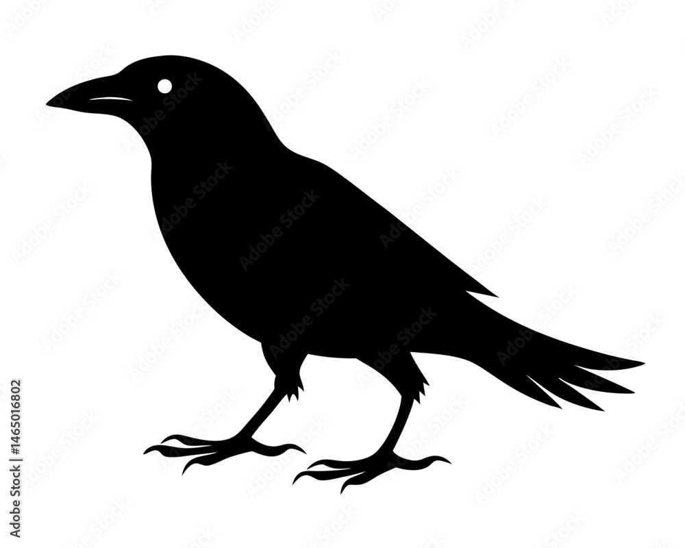 Fototapeta premium Crow Walking Silhouette SVG | Black Bird Vector Design