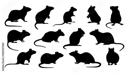 set of rats silhouette vector on tranparent background