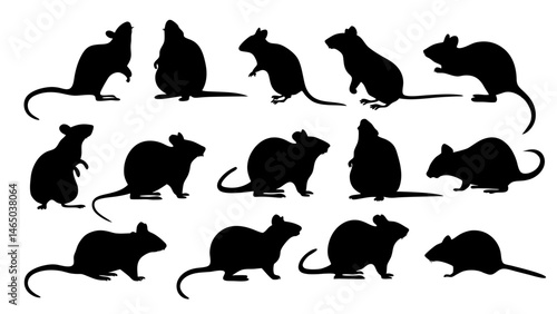set of rats silhouette vector on tranparent background