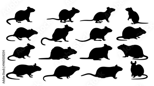 set of rats silhouette vector on tranparent background