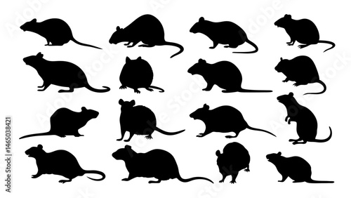 set of rats silhouette vector on tranparent background