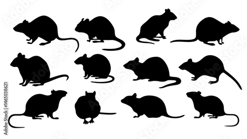 set of rats silhouette vector on tranparent background