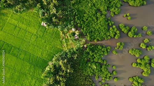 Beautiful 4K aerial drone footage capturing the golden hour over the farmlands and rolling hills of Siargao, Philippines. This cinematic clip features expansive agricultural landscapes, sunset light, 