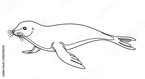Seal swimming in a minimalist line art style  