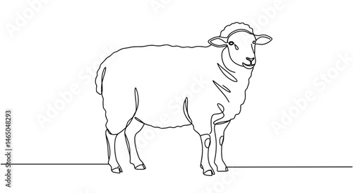 Simple Line Drawing of a Sheep Standing  