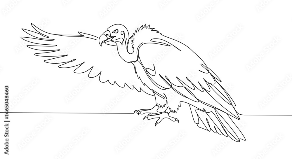 Obraz premium Vulture spreading wings in a minimalistic line-art style 
