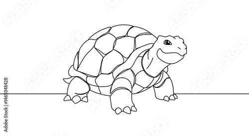 Happy tortoise walking on a line illustration  