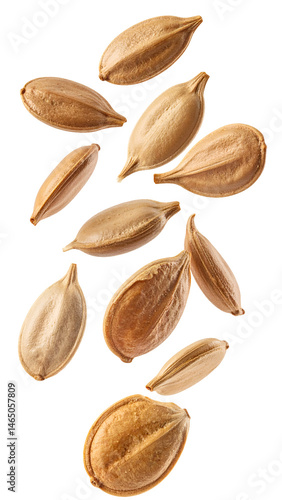 Wallpaper Mural floating dry flower seeds in mid-air, natural botanical plant seeds isolated on white background with close-up detail
 Torontodigital.ca