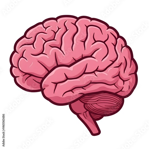Wallpaper Mural Illustration of a brain with a detailed depiction of gyri and sulci. The cerebral hemispheres are prominently outlined with a pink color palette and bold, dark outlines for contrast.  Torontodigital.ca