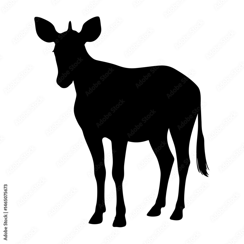Obraz premium Okapi animal silhouette. Vector image