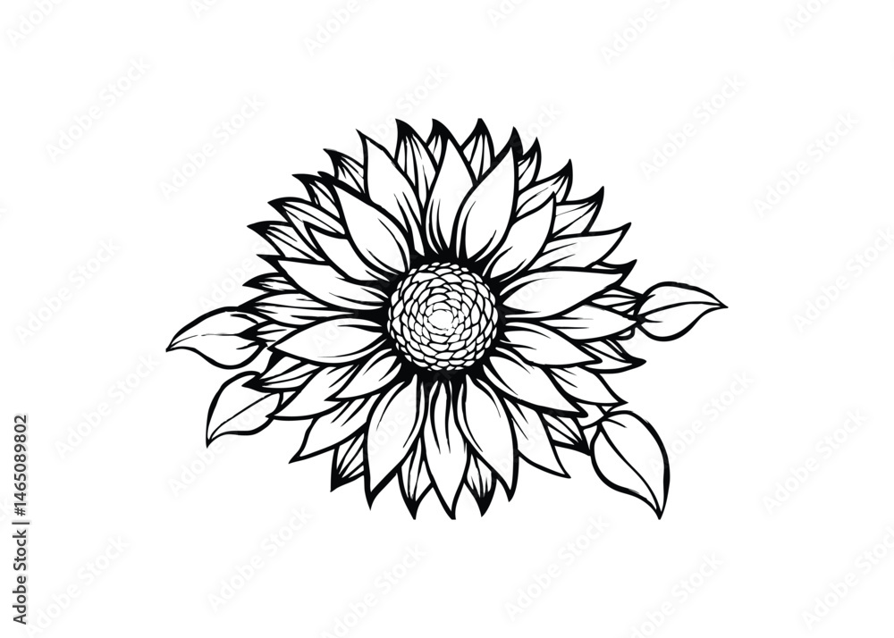 Fototapeta premium Silhouette of sunflower isolated on a white background