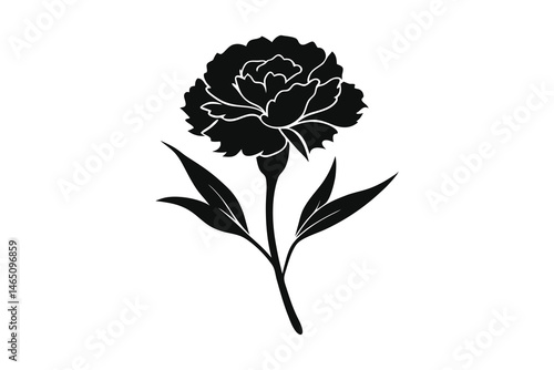 Carnation flower and leaf hand drawn vector illustration on white background