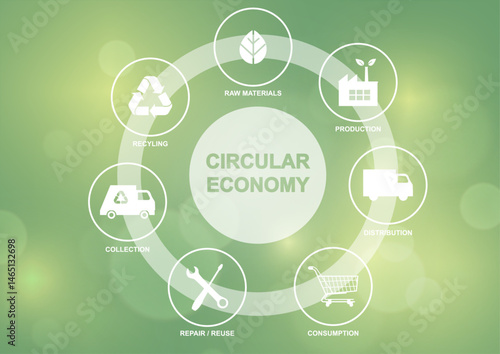 Circular Economy Lifecycle Diagram on Green Background. circular economy infographic showing six stages: raw materials, production, distribution, consumption, repair/reuse, and recycling/collection. 