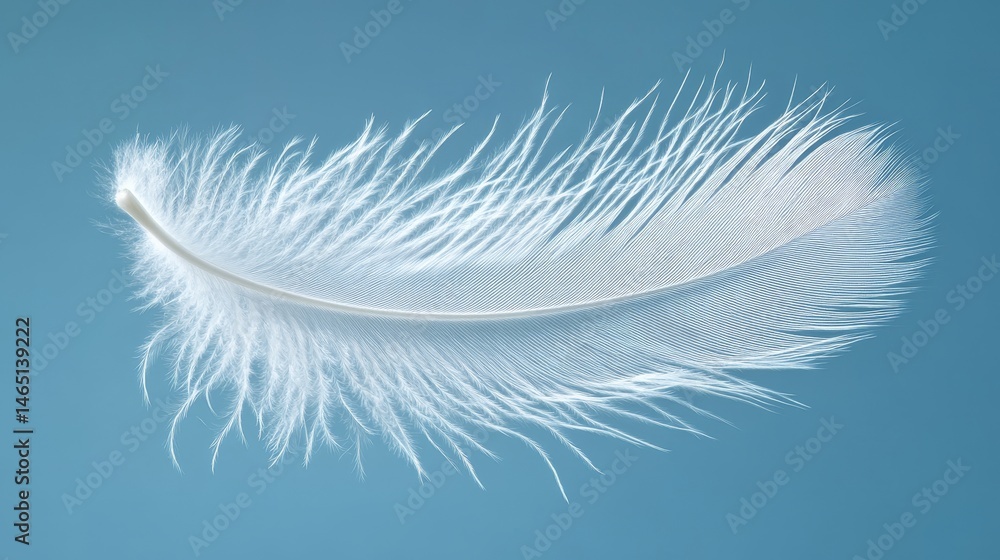 Obraz premium Soft White Feather on Blue Background