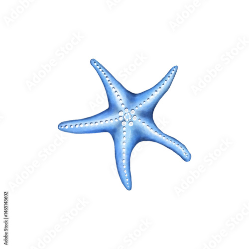 Ocean Treasures: Digital Watercolor illustrations