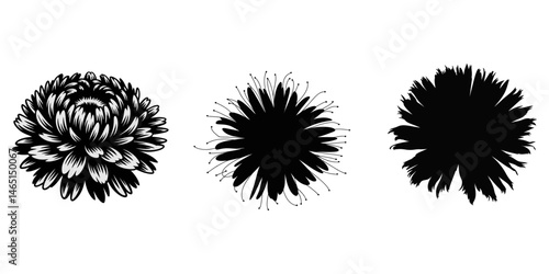 big shaggy flower set, A closeup of a large, shaggy dahlia flower in light blue, set against a white background, isolated using a clipping path, perfect for design, Flowers - silhouette.