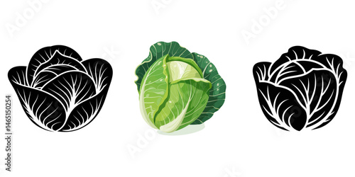 Cabbage icon, cabbage silhouette set, of green cabbage Green leafy cabbage. Farm products. Vector illustration, Cabbage illustration, Black and white cabbage vector silhouette.