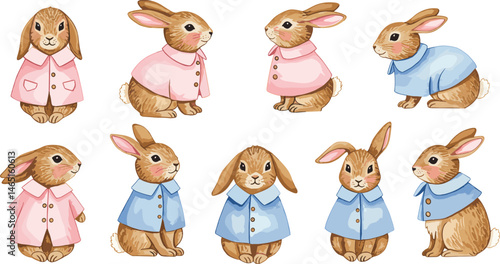 Set of Watercolor cute Peter Rabbits in red and blue jacket