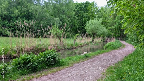 Idyllic creek with riparian vegetation and forest edge, Germany, Augsburg, Haunstetten, 7 May 2025


