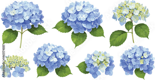 Watercolor set of blue hydrangea branch with leaves