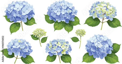 Watercolor set of blue hydrangea branch with leaves