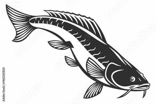 bichir sihouette black vector