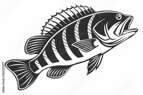 bichir sihouette black vector