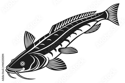 bichir sihouette black vector