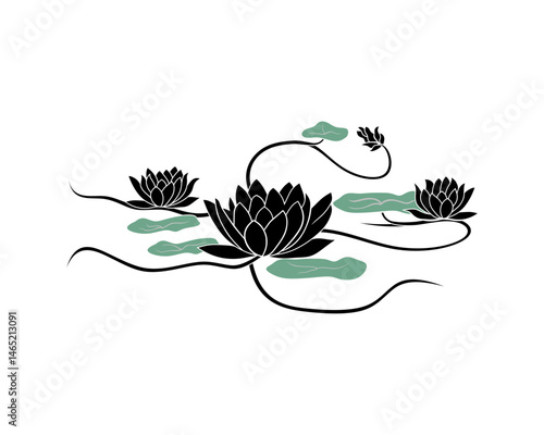 vector floral backgroundLotus (genus), a genus of terrestrial plants in the family Fabaceae; Lotus flower, a symbolically important aquatic Asian plant also known as Indian or sacred lotus. 