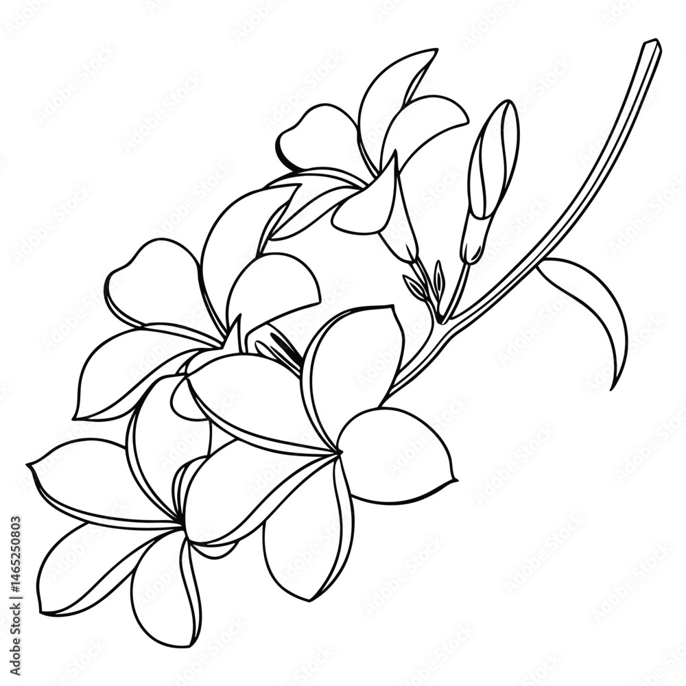 Obraz premium plumeria flowers in continuous line art drawing .eps