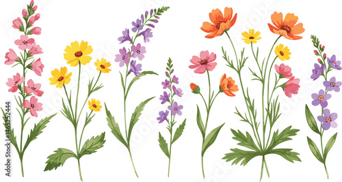 Wallpaper Mural Bouquet of wildflowers and leaves, summer meadow background for design
 Torontodigital.ca