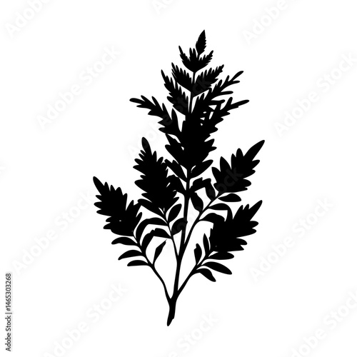 Black fern silhouette vector illustration botanical foliage plant design isolated nature element art graphic