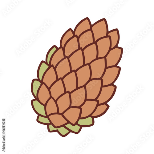 Illustration of brown pinecone forest tree plant nature autumn fall season botanical art drawing design
