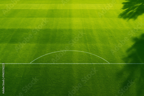 soccer field with grass
