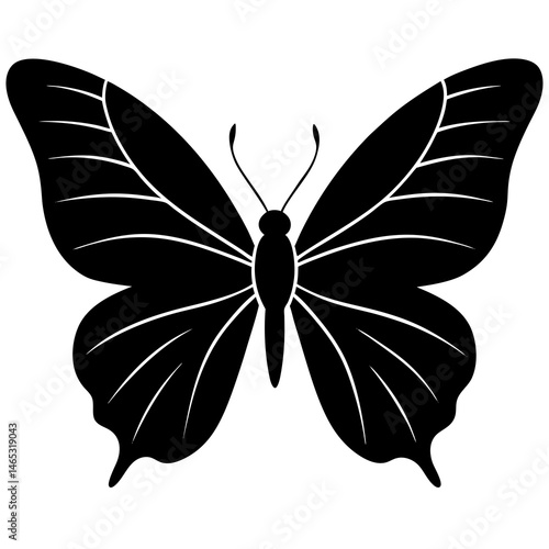 Elegant Black Butterfly Silhouette Illustration