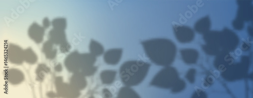 Soft overlay of natural light.Tropical blurred leaf.Natural light layout.