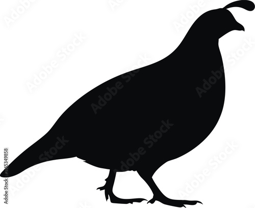 Quail silhouette vector, Quail bird icon vector design 