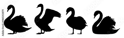 Set of swan silhouettes – vector illustration