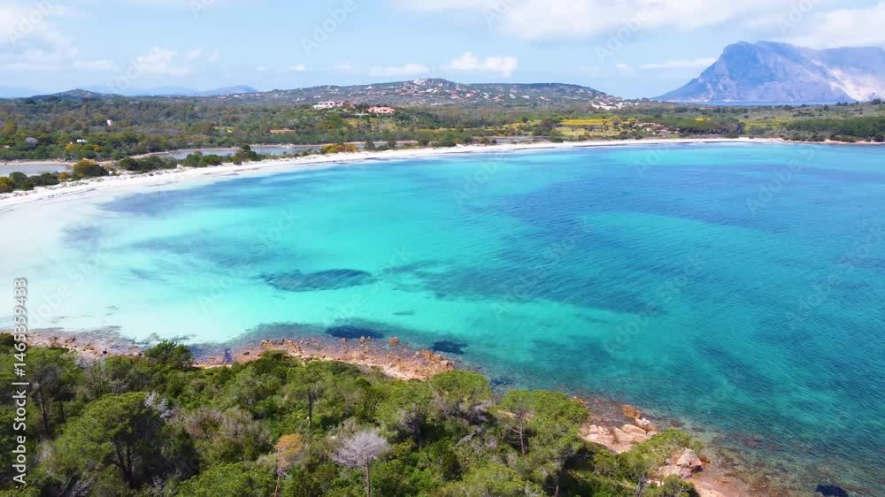 Drone view of Cala Brandinchi shore in spring Drone view of Cala Brandinchi shore in spring