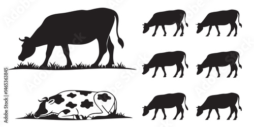 Diverse Cow Silhouettes Grazing Peaceful Farm Animals Eating Grass in Pasture Black and White Dairy Cows Agriculture Rural Scene Livestock Farm Life Mammals Bovine	
