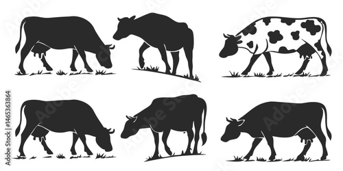 Silhouette of Nine Cattle Grazing on Pastureland in the Darkness Standing on the Land and Eating Fresh Green Grass in a Quiet Landscape of the Field	