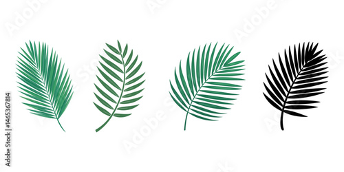Tropical leaves vector. Set of palm leaves silhouettes isolated on white background, Palm leaves floating in the air isolated, Tropical Leaves Set. Vector Illustration, Palm leaves The green leaves.